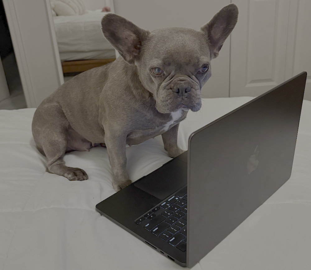 BocceLabs is shutting down